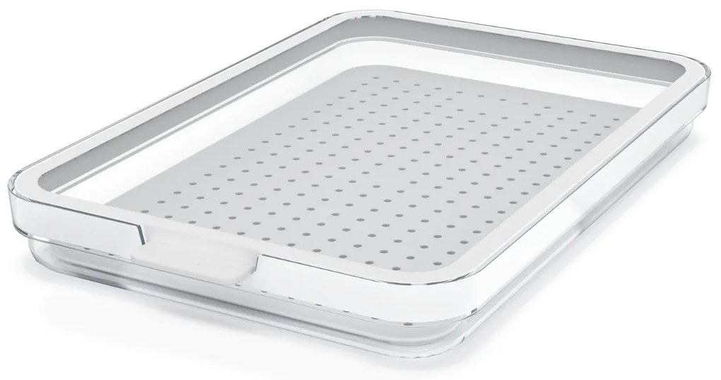 Rotho Organizér do chladničky, s vekom a špeciálnou podložkou 1,3 l CAUMA