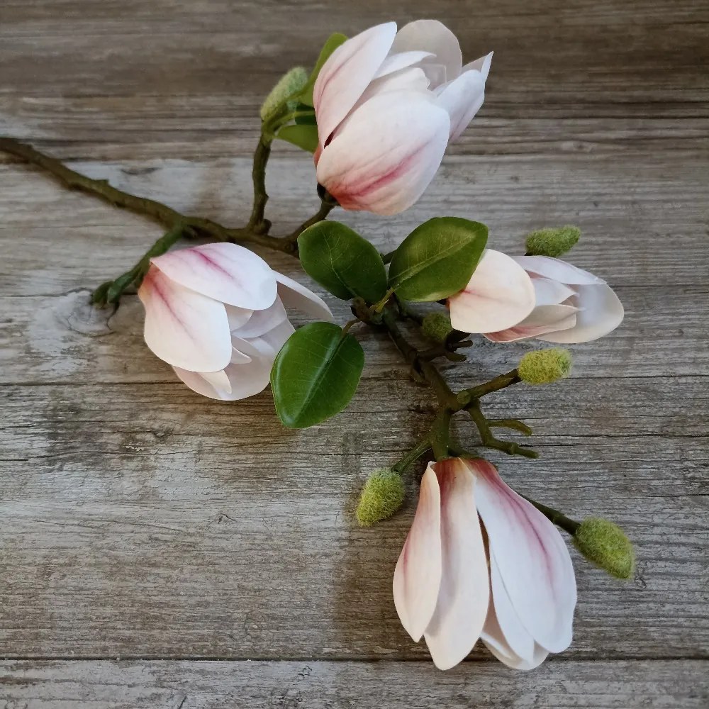 KONÁR MAGNÓLIA RUŽOVÁ 66CM