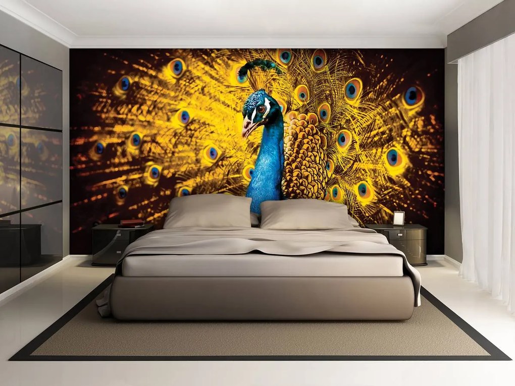 Fototapeta - Páv so žltým perím (152,5x104 cm)