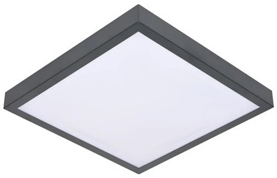 BOWI LED Stropné svietidlo so senzorom VITALI LED/24W/230V 4000K BW0394