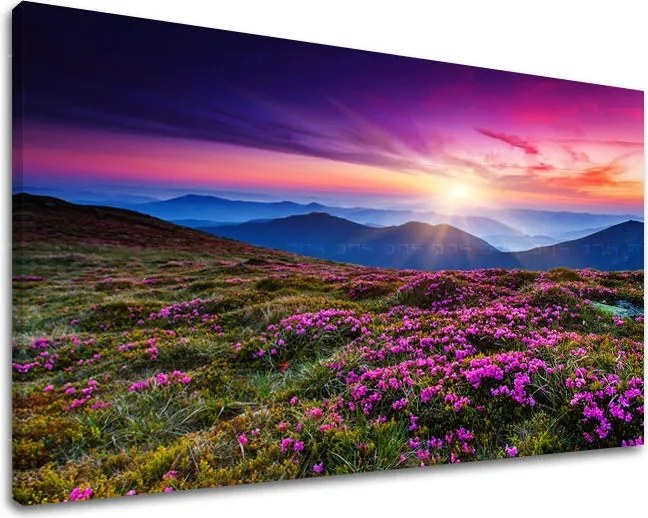 Obraz na stenu KRAJINA