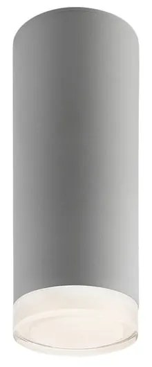 Sivé stropné svietidlo so skleneným tienidlom - LAMKUR