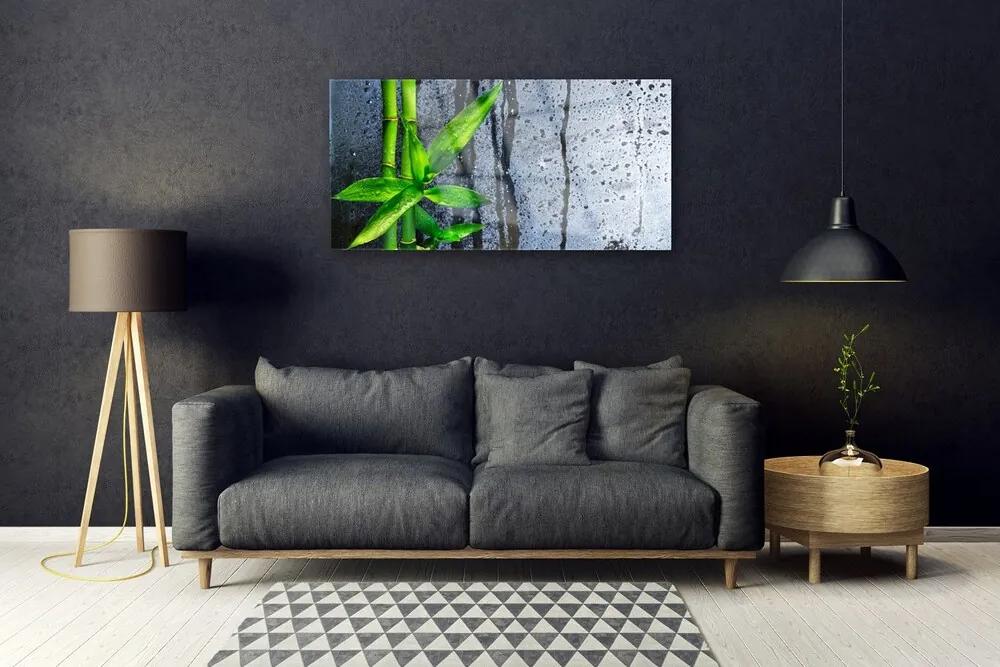 Skleneny obraz Bambus list rastlina príroda 140x70 cm