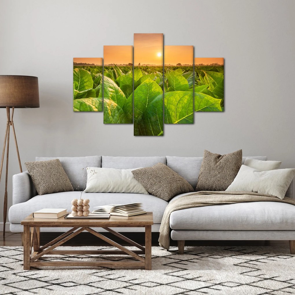 Obraz - Pole (150x105 cm)