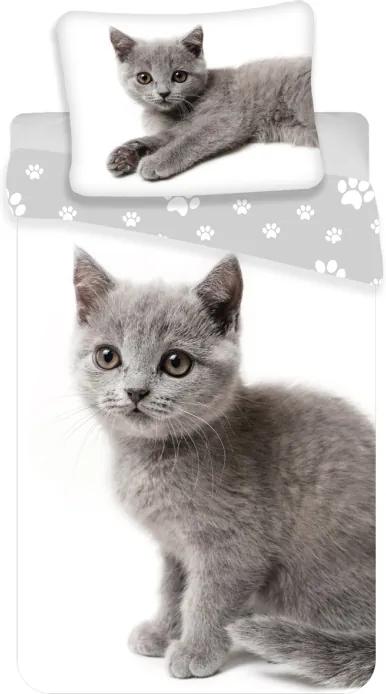 JERRY FABRICS Obliečky Mačka grey mačiatka Bavlna, 140/200, 70/90 cm
