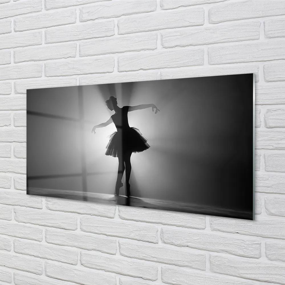 Obraz plexi Baletka sivé pozadie 125x50 cm