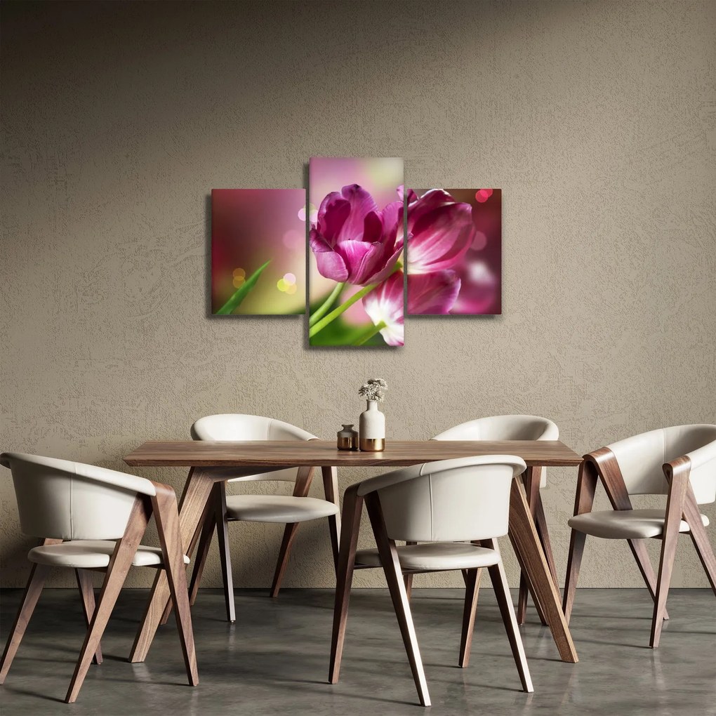 Obraz ružových tulipánov (90x60 cm)