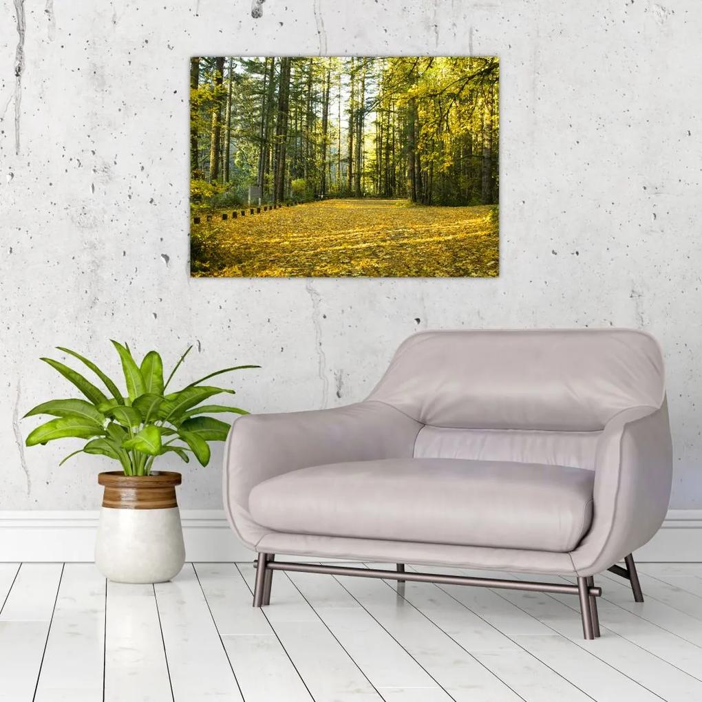 Sklenený obraz - les v jeseni (70x50 cm)