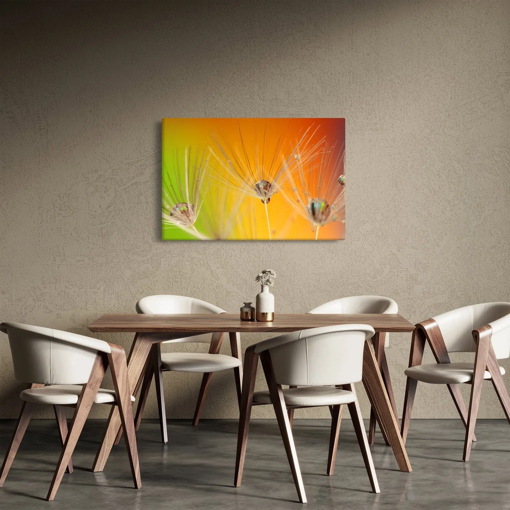 Obraz kvapiek na rastline (90x60 cm)