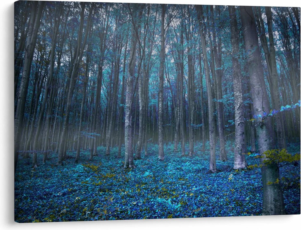 Obraz - Magický les (70x50 cm)