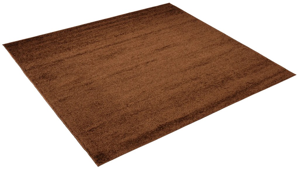 Dizajnový koberec DESERT - SHAGGY ROZMERY: 60x100