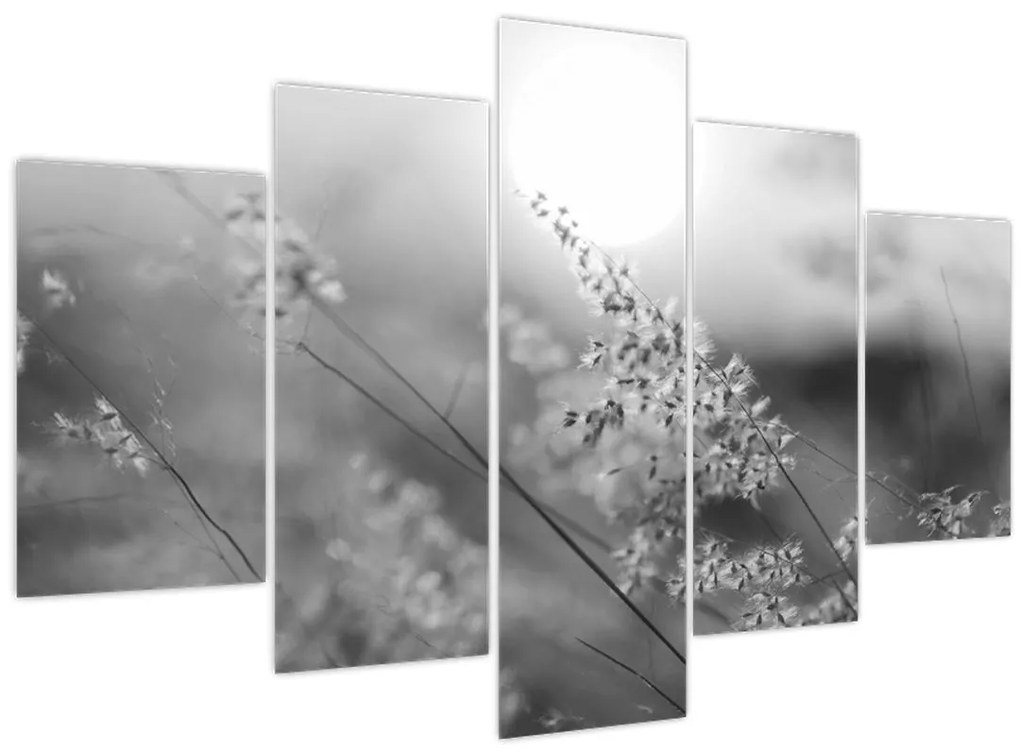 Obraz - Jesenná lúka (150x105 cm)