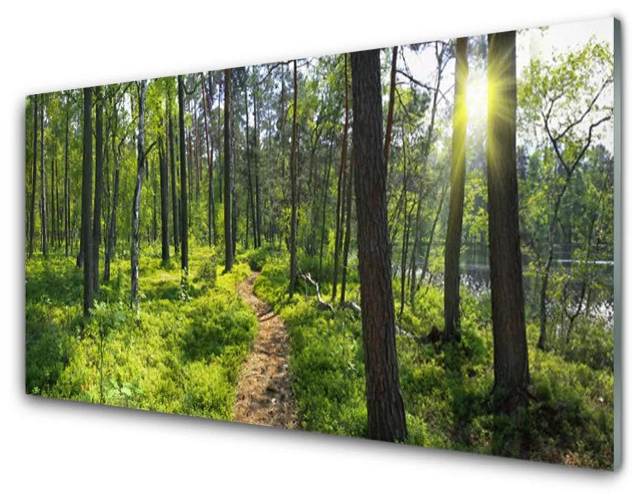Skleneny obraz Les chodník cestička príroda 140x70 cm