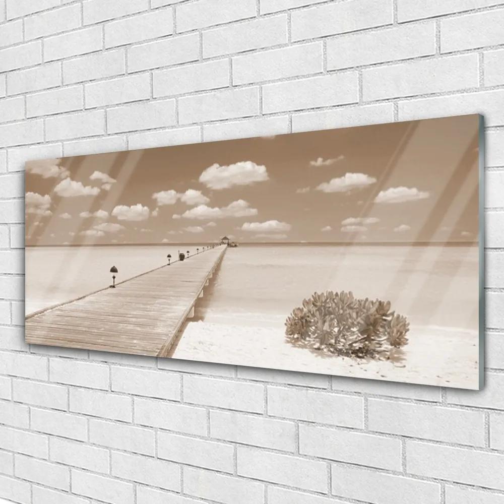 Obraz na akrylátovom skle More most krajina 125x50 cm