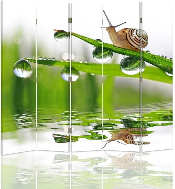CARO Paraván - Snail On The Grass | päťdielny | jednostranný 180x150 cm