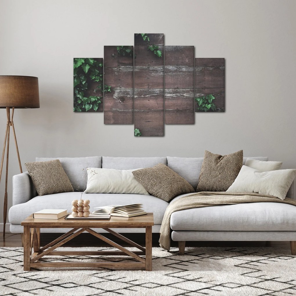 Obraz - Brečtan (150x105 cm)