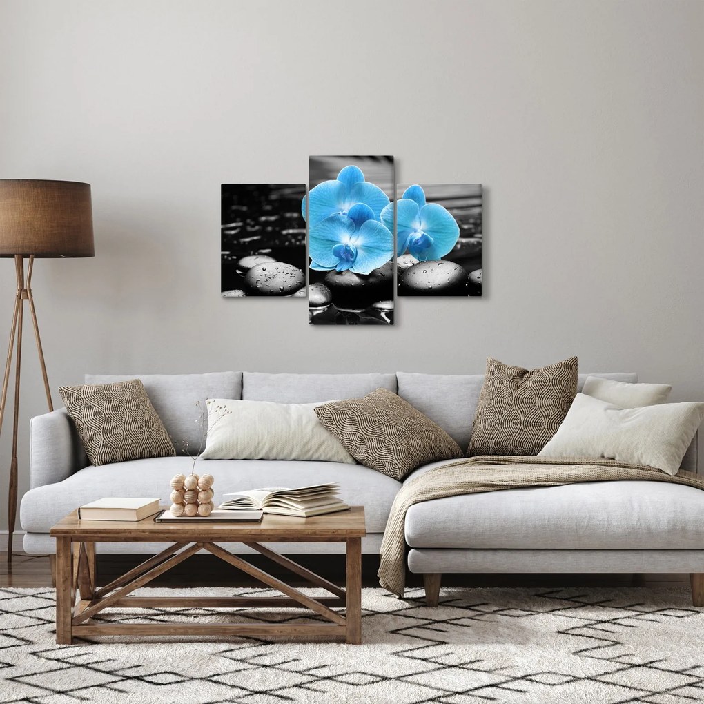 Obraz - Modrá orchidea (90x60 cm)