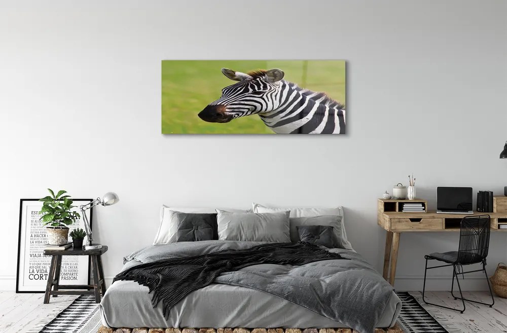 Obraz na akrylátovom skle Zebra 120x60 cm