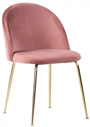 Jídelní židle GENEVE růžový samet,mosazné nohy House Nordic 1001250