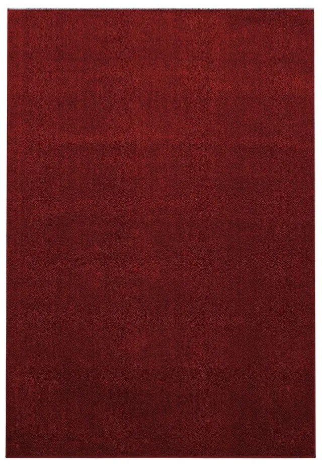 Vínový koberec 60x100 cm Ata – Ayyildiz Carpets