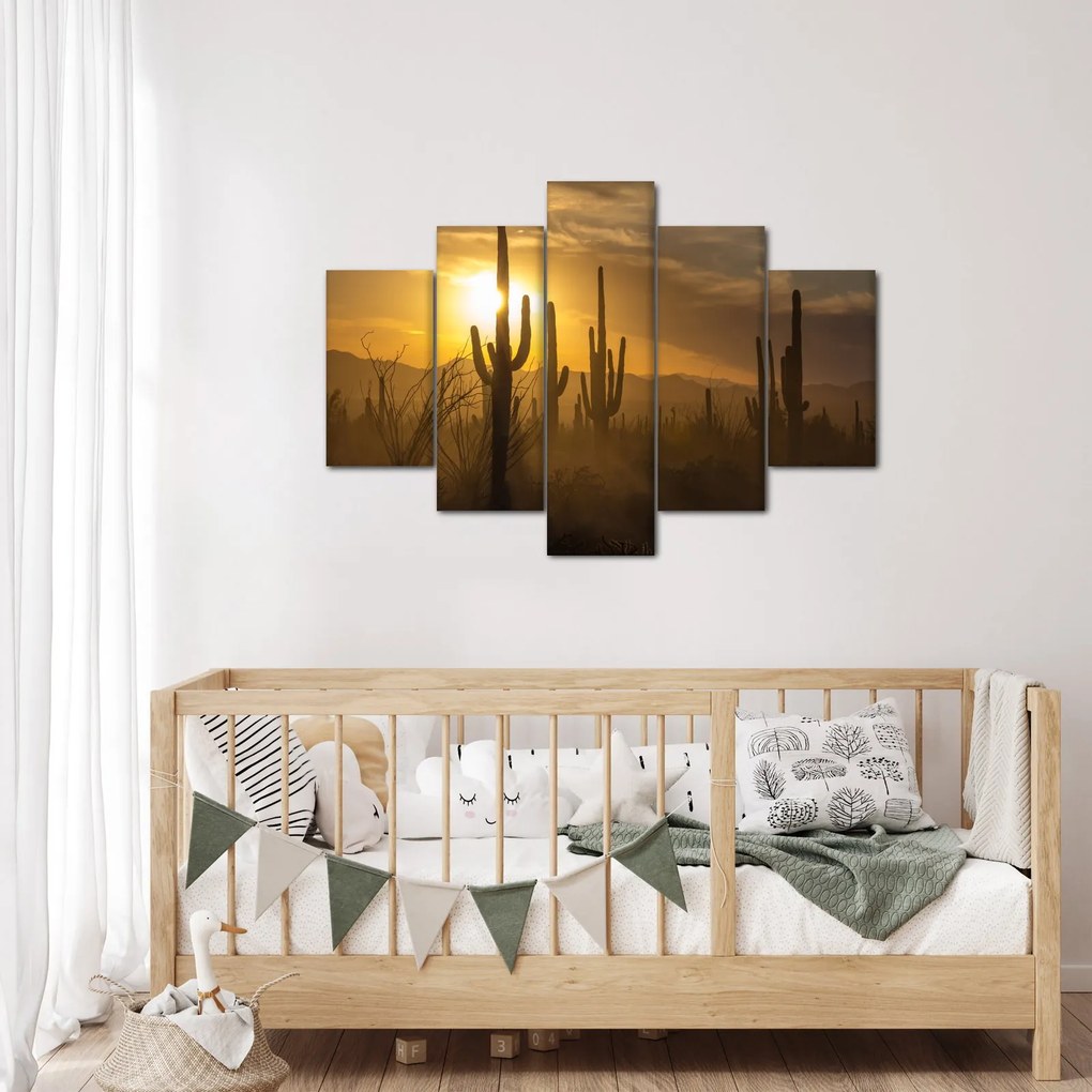 Obraz - Kaktusy Saguaro (150x105 cm)