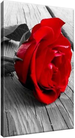 Obraz na plátne Červená ruža 20x30cm 1138A_1S