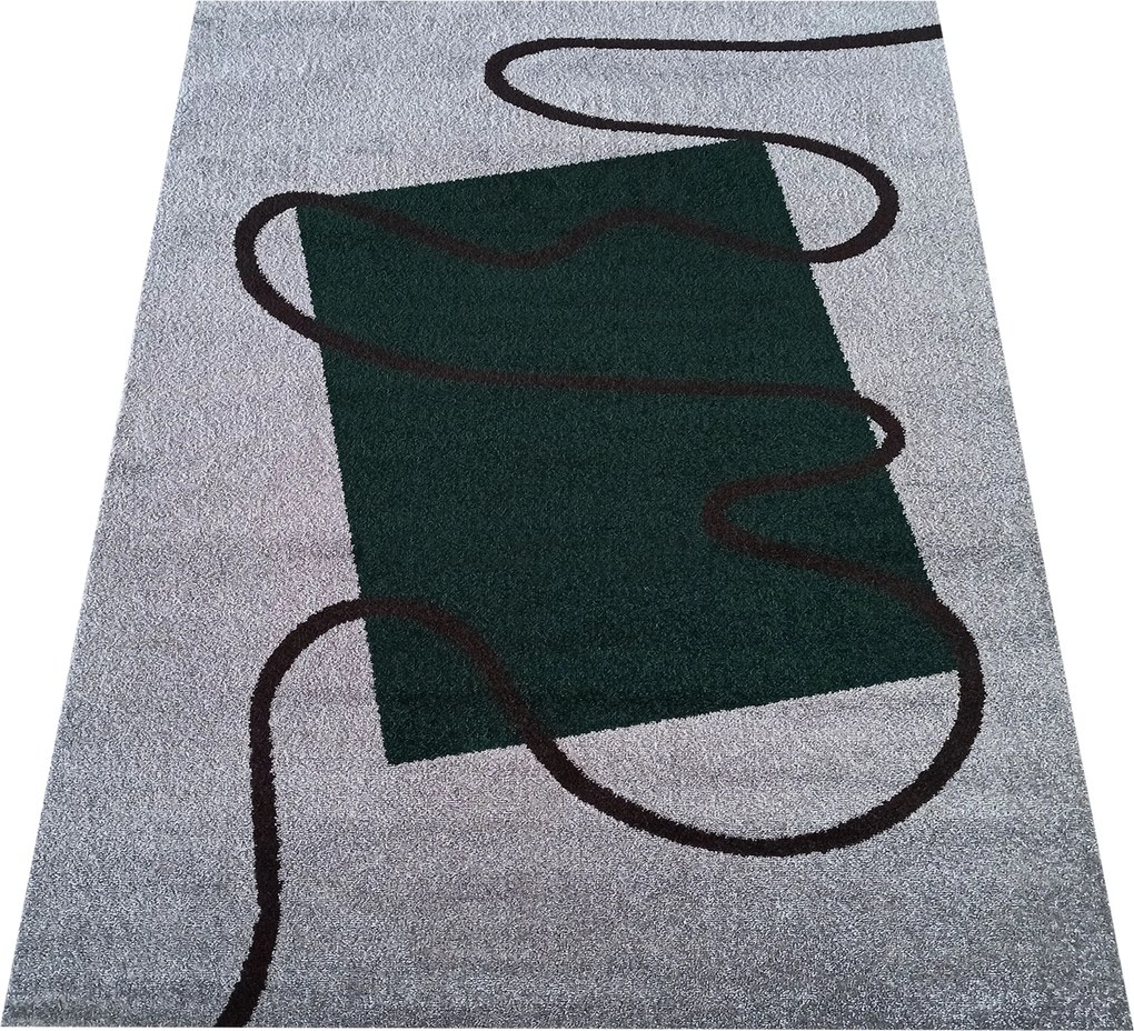 DY OTTO 08 Šedo-zelený koberec Rozmer: 160x220 cm