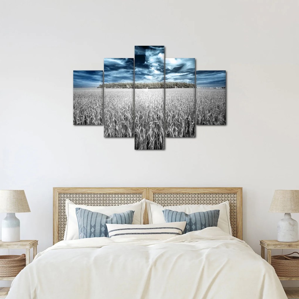Obraz pole (150x105 cm)