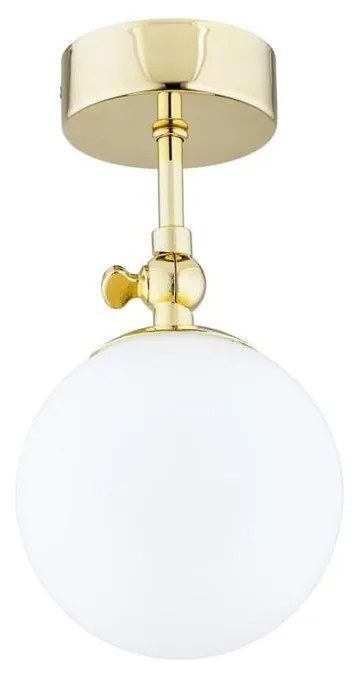 Argon 4001 - Kúpeľňový prisadený luster LATINA 1xE14/40W/230V IP44