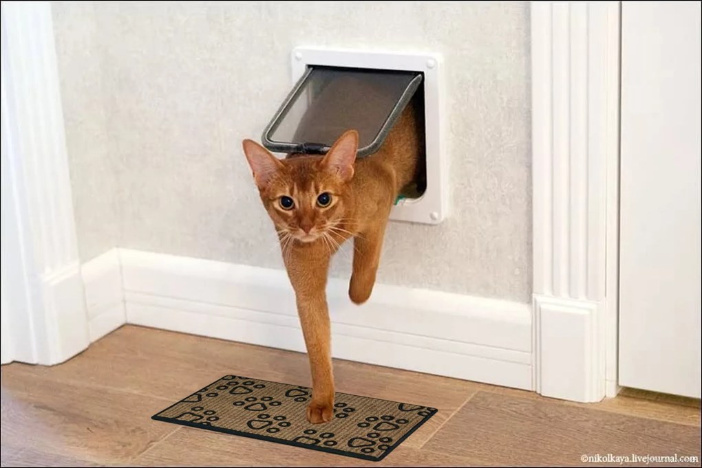 Rohožka Kokos + guma ťapky – na von aj na doma, 40x70, hnedá, chodba / predsieň, BO-MA