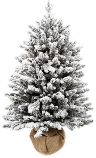 Vianočný stromček v kvetináči 3D Smrek Kráľovský 100cm
