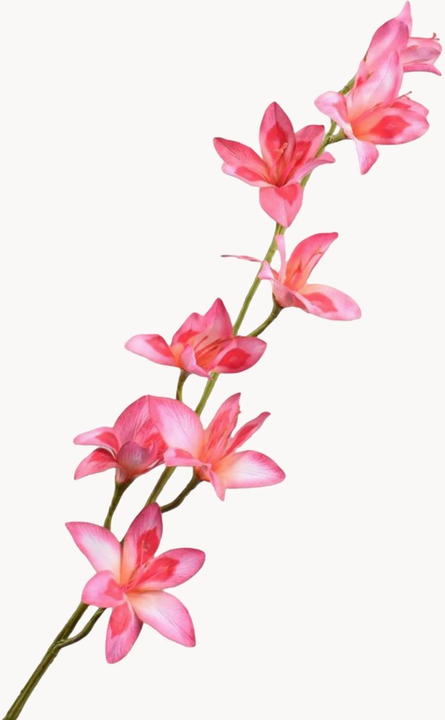 Rastlinné dekorácie Gladiolus, 2 ks