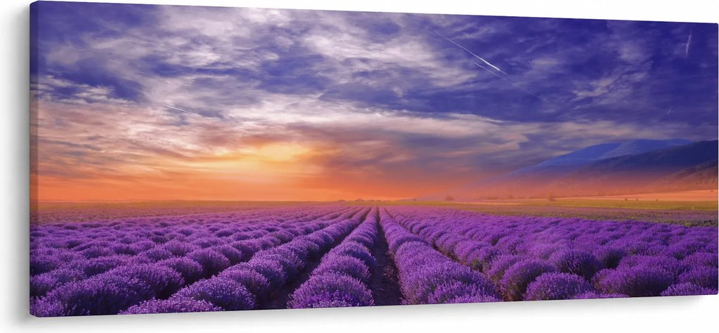 Obraz levanduľového pole (120x50 cm)