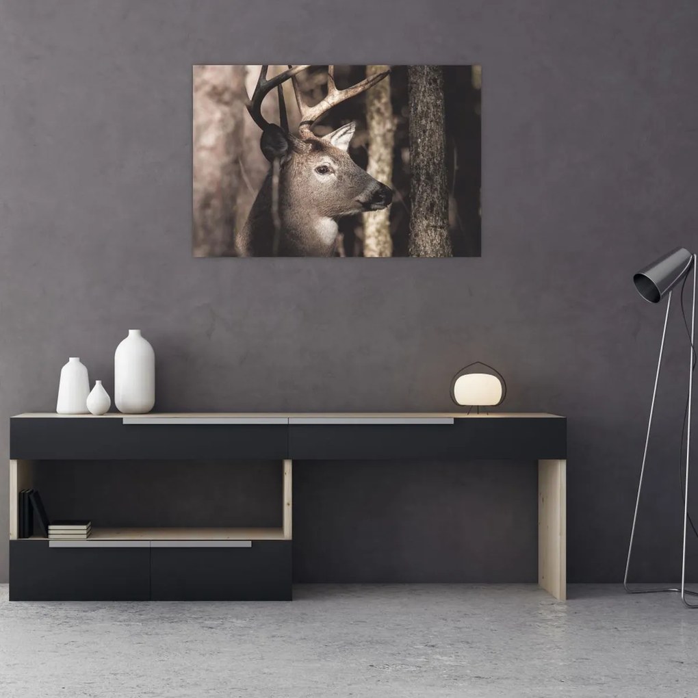 Obraz - Jeleň v lese (90x60 cm)