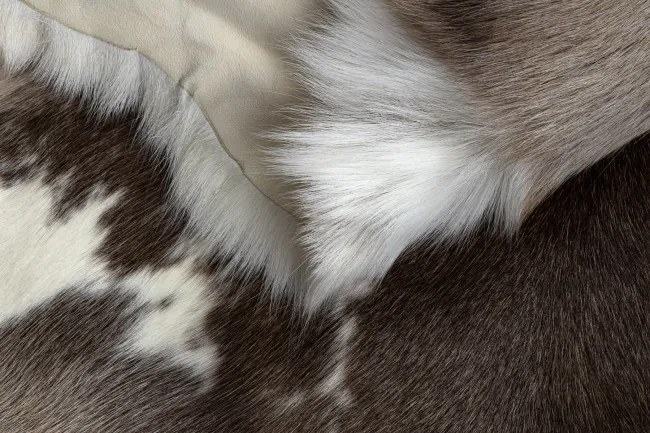 Koberec RENIFER POK003 PREMIUM hnedý / biely