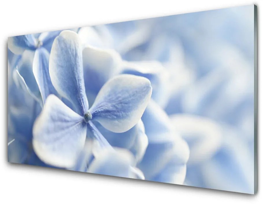 Skleneny obraz Kvety plátky príroda 100x50 cm