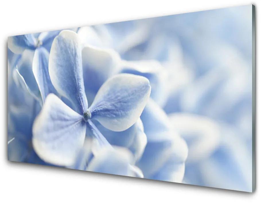 Skleneny obraz Kvety plátky príroda 120x60 cm