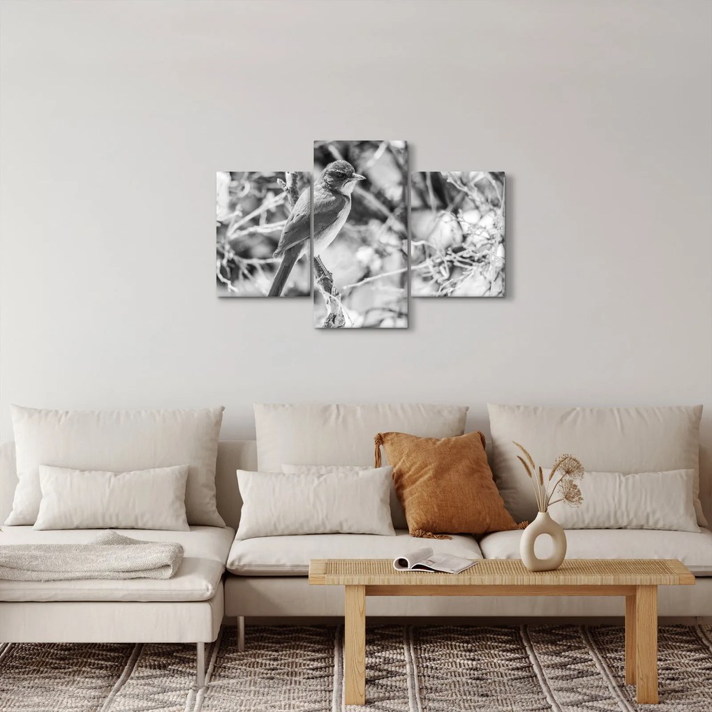 Obraz - Modrý vták v zime (90x60 cm)