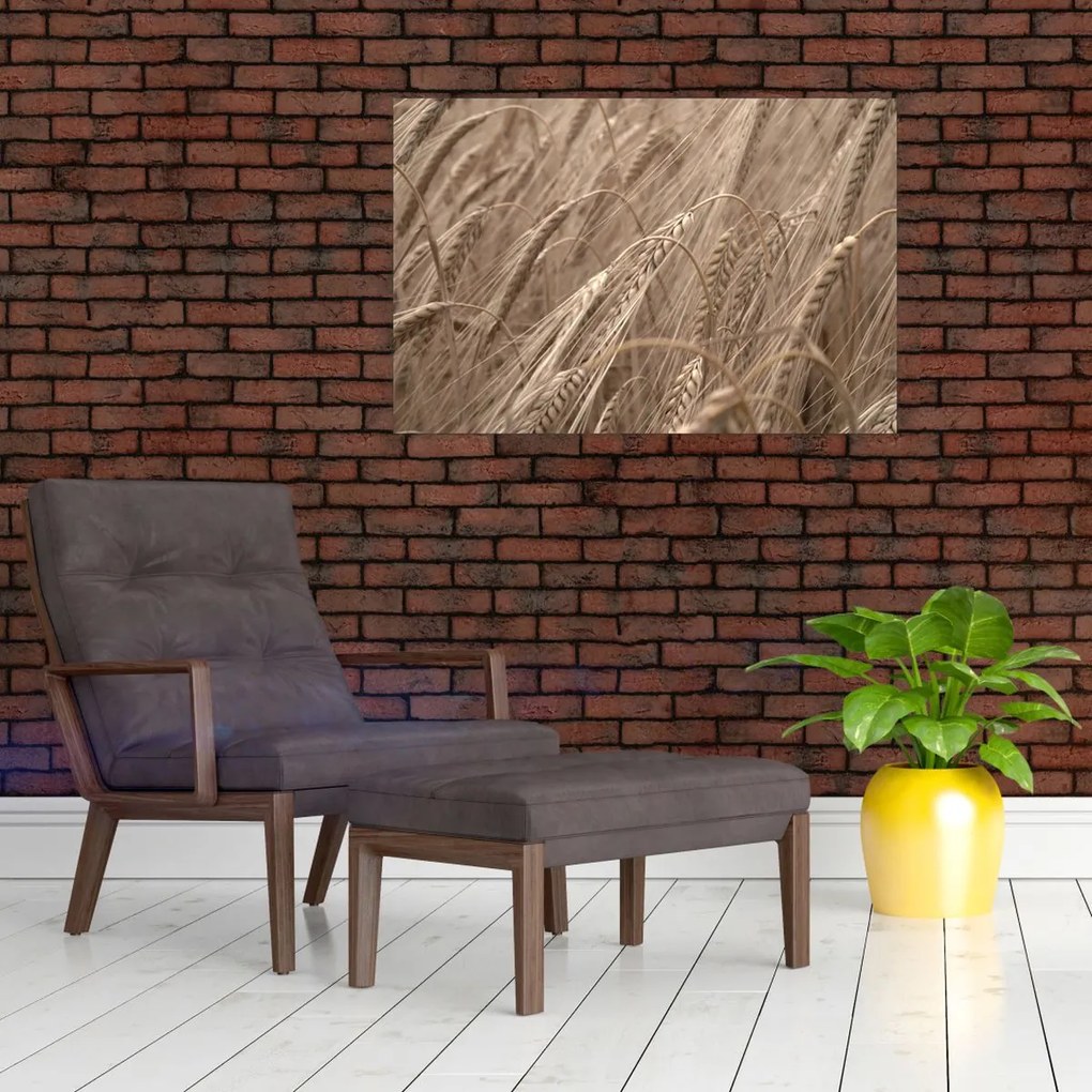 Obraz - Zlaté pole (90x60 cm)