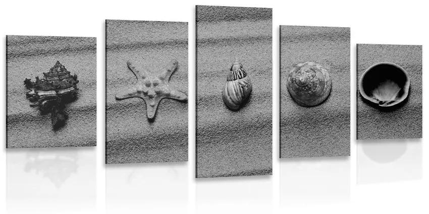 5-dielny obraz mušle na piesočnatej pláži v čiernobielom prevedení Varianta: 100x50