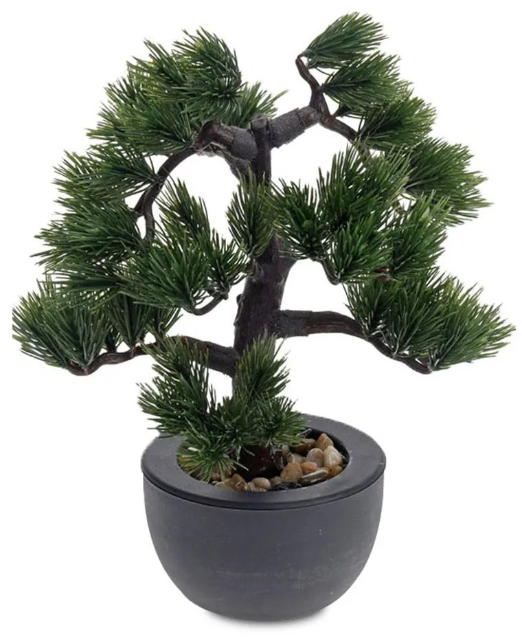 Ihličnatá Bonsai