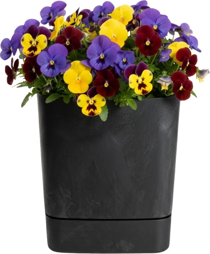 Sada 3 ks květináčů Cubi 16x16/19x19/25x25 cm černý beton