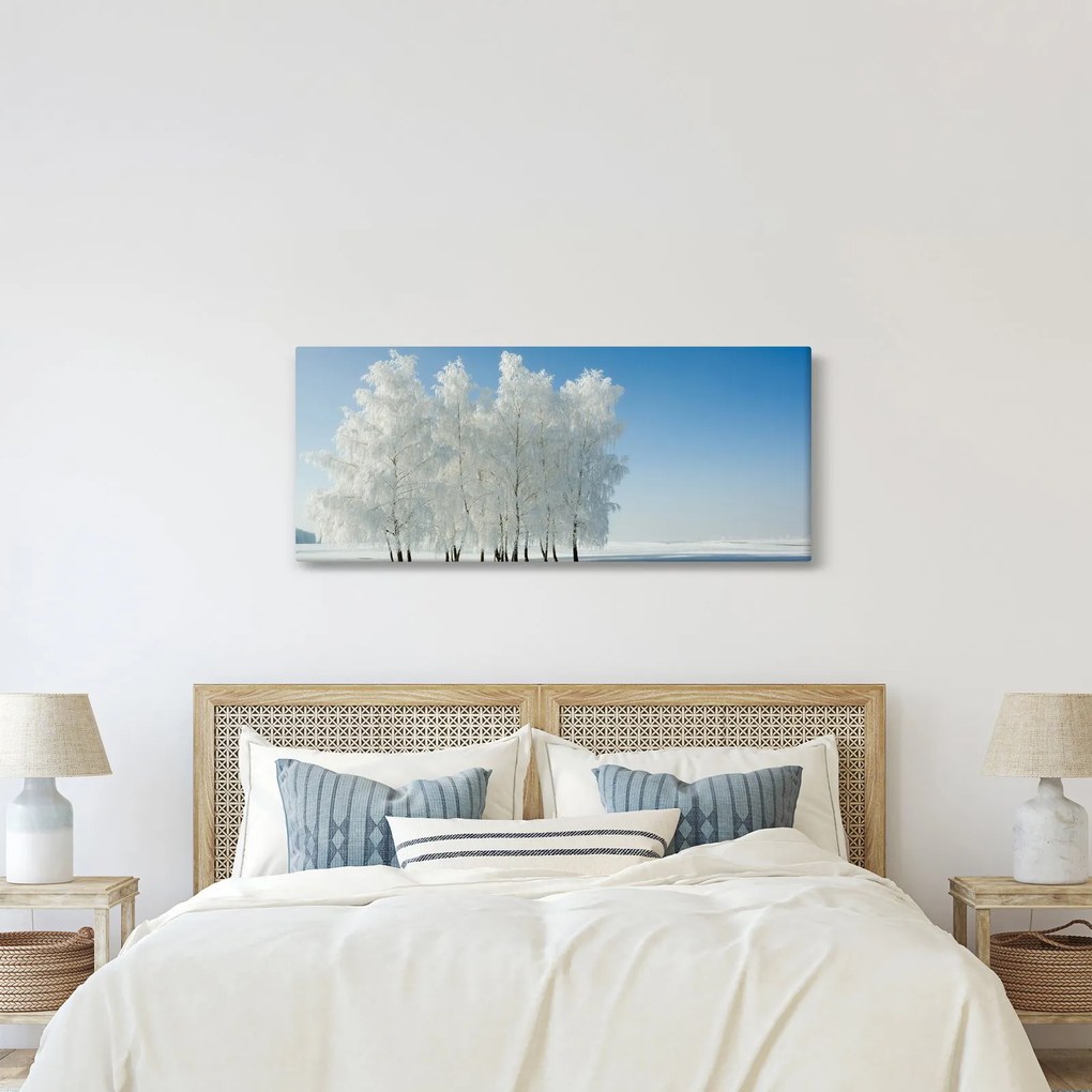 Obraz zasneženej krajiny (120x50 cm)