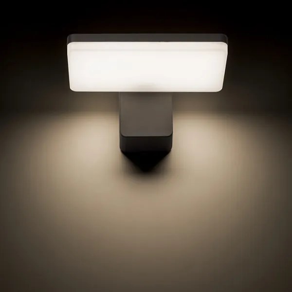 RED - Design Rendl-R11947- LED Vonkajšie nástenné svietidlo RINA LED/12W/230V IP65