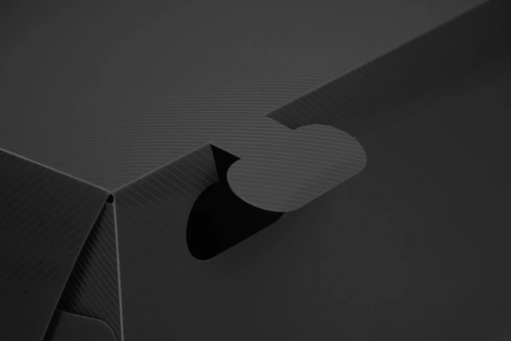 Súprava 10 ks boxov na topánky OSLO čierna