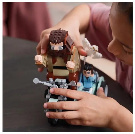 Lego®  Harry Potter™ 76443 Hagrid™ a Harry na motorke  (100396782)