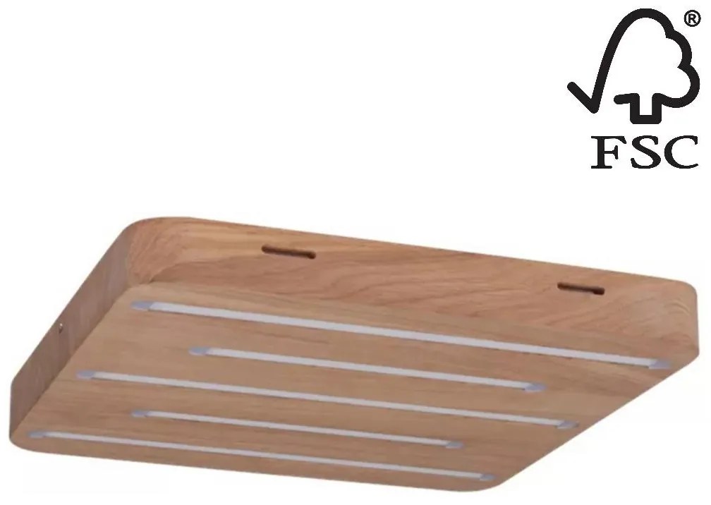 Spot-Light 2130374 - LED Stropné svietidlo NEELE LED/19,5W/230V