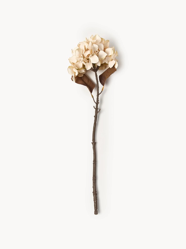 Rastlinná dekorácia Hydrangea