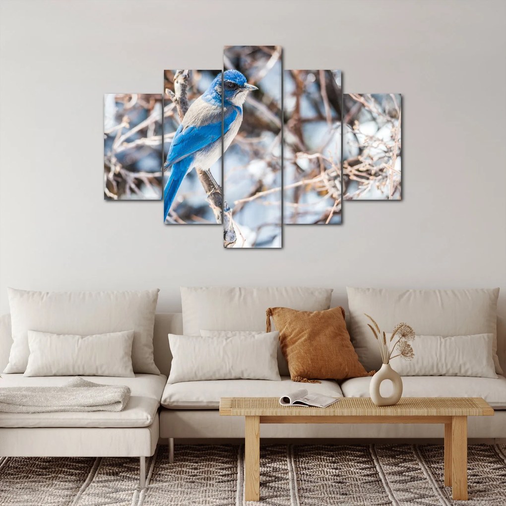 Obraz - Zimný vtáčik (150x105 cm)