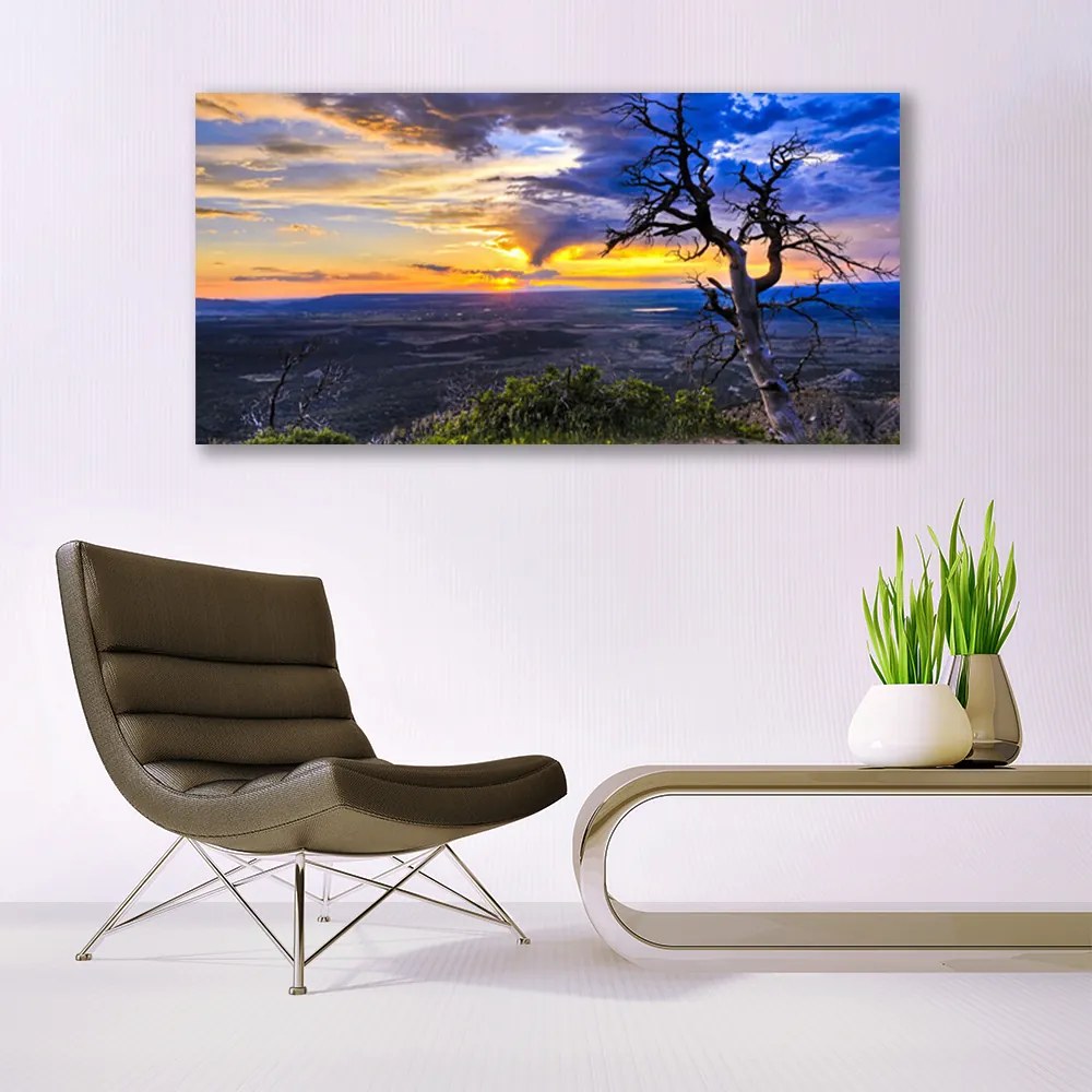 Obraz plexi Strom zápas slnko 120x60 cm